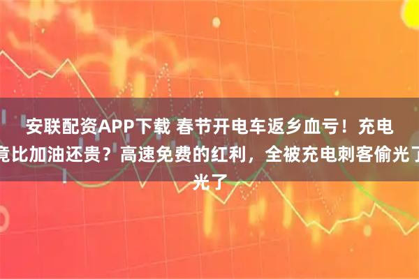 安联配资APP下载 春节开电车返乡血亏！充电竟比加油还贵？高速免费的红利，全被充电刺客偷光了